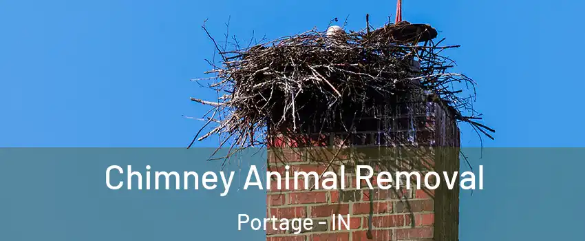  Chimney Animal Removal Portage - IN