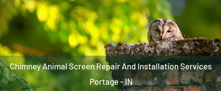  Chimney Animal Screen Repair And Installation Services Portage - IN