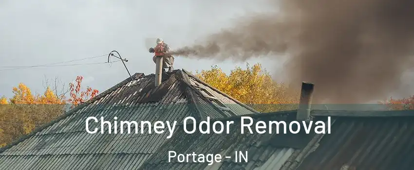  Chimney Odor Removal Portage - IN