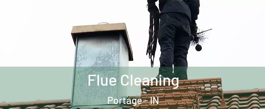  Flue Cleaning Portage - IN