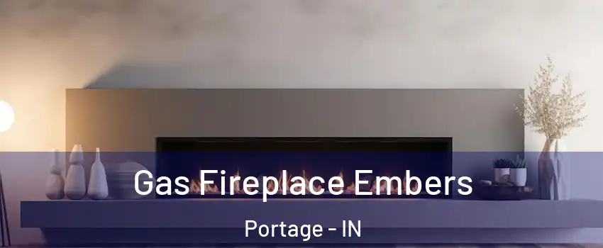  Gas Fireplace Embers Portage - IN
