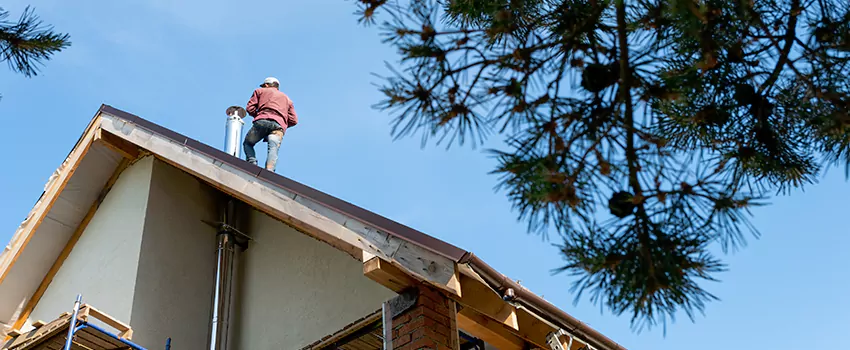 Birds Removal Contractors from Chimney in Portage, IN