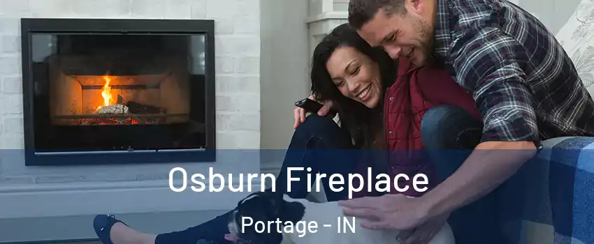  Osburn Fireplace Portage - IN