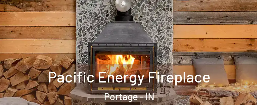  Pacific Energy Fireplace Portage - IN